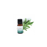 ALMAFLORE HUILE ESSENTIELLE DE ROMARIN A CINEOLE 10ML