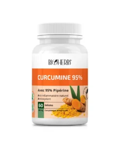 BIOHERBS CURCUMINE 95% BT 60G