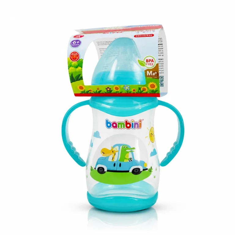 BAMBINI BIBERON LARGE REF 904 300ML